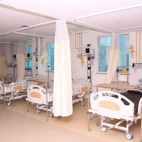 Department of Orthopedic